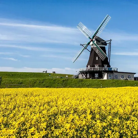 Gud Jard Nr 24 - Design-ferienhaus Mit Exklusiver Ausstattung * Pelvorm