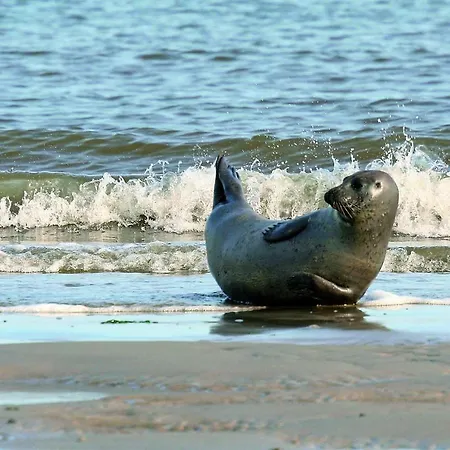 Gud Jard Nr 24 - Design-ferienhaus Mit Exklusiver Ausstattung *